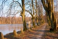 Alley on the lake, old observation deck on the pond, observation gazebo on the lake