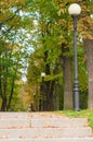 Alley with lampposts in autumn park