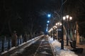 alley with lanterns and benches at night in winter Royalty Free Stock Photo