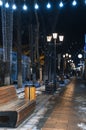 alley with lanterns and benches at night in winter Royalty Free Stock Photo