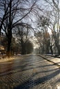 Alley with long shadow from trees on stone bricks road Royalty Free Stock Photo