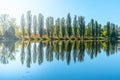 Alley of lush green poplar trees reflected in the water on sunny summer day