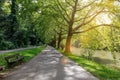 Alley in morning spring park near river. Sun's rays shine through branches of tall trees, old wooden bench near Royalty Free Stock Photo