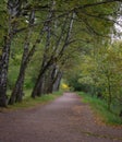 Alley in Moscow Sokolniki Park at the ponds Putilovsky.