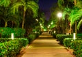 Alley night lamp Royalty Free Stock Photo