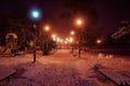 Alley night lamp winter Royalty Free Stock Photo