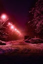 Alley night lamp winter Royalty Free Stock Photo