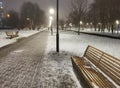 Alley of a night winter park in a fog Royalty Free Stock Photo