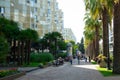 Alley of palm trees in the city of Sochi Royalty Free Stock Photo