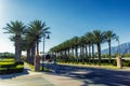 Alley of palms in the streets of Ontario, California