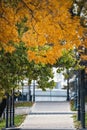 Alley in the park with wonderful autumn colors