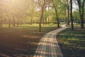 Alley, pathway in the city park in sunlight. Cobbled alley in the public  park. Green tree foliage. Nature outdoor landscape with Royalty Free Stock Photo