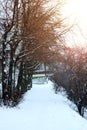Alley pathway park winter Royalty Free Stock Photo