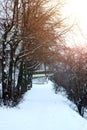 Alley pathway park winter