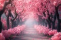 Alley of Pink Blossoming Trees in Springtime Royalty Free Stock Photo