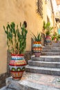 Alley with prickly pear cactus in decorated ceramic vases, Taormina, Italy Royalty Free Stock Photo
