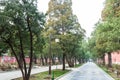 alley in public park in Beijing Imperial city Royalty Free Stock Photo