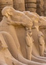 Alley of the ram-headed Sphinxes. Karnak Temple