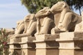 Alley of the ram-headed Sphinxes. Karnak Temple