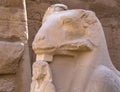 Alley of the ram-headed Sphinxes. Karnak Temple. Luxor, Egypt. Royalty Free Stock Photo