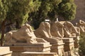 Alley of the ram-headed Sphinxes. Karnak Temple. Luxor, Egypt.