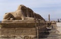 Alley of the ram-headed Sphinxes. Karnak Temple. Luxor, Egypt. Royalty Free Stock Photo