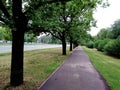 The oak alley summer city park