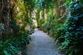 Alley in Saint-Paul-de-Vence, Provence, France Royalty Free Stock Photo