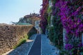 Alley in Saint-Paul-de-Vence, Provence, France Royalty Free Stock Photo