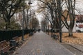 Alley in the scenic autumn park, bare trees and colorful foliage on the ground Royalty Free Stock Photo