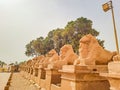 Alley of sheep. Ancient ruins of Karnak temple in Luxor. Egypt