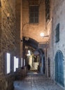 Alley of the sign of the zodiac Leo at night in on old city YafoAlley of the sign of the zodiac Leo at night in on old city Yafo i Royalty Free Stock Photo