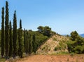 Alley of slender cypresses on the shore of Aegean Sea. Sithonia Peninsula. Royalty Free Stock Photo