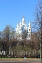 Alley of Smolny park. Sunny spring day. Sankt Petersburg, Russia.