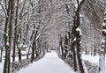 Alley in snow