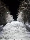 Alley on a snowy winter night.