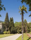 Alley in the South Park with palm trees, cypresses, pine trees, green lawns. Royalty Free Stock Photo