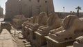 Alley of sphinxes - rams in the Karnak Temple of Luxor.