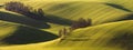 Alley in spring undulating fields of South Moravia in evening light