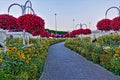 Alley in the summer park in the evening.