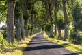 Alley in summer in Poland Royalty Free Stock Photo