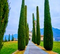 The alley with tall cypress trees at Sant\'Abbondio Church, Collina d\'Oro, Switzerland