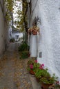 Alley of a town in La Taha with yellow autumnal leaves on the ground and pots of geraniums and succulents hanging and placed on