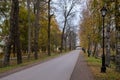 Alley with trees in the autumn park