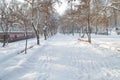 Alley and trees are covered with snow in the city park Royalty Free Stock Photo
