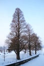 Winter over Herastrau Park Royalty Free Stock Photo