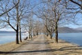 Alley with trees Royalty Free Stock Photo