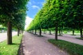 Alley of the upper garden of Peterhof.