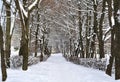 Alley in the winter in snow