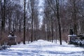 Alley in winter